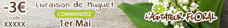 banniere_af_729_90_premier-mai.jpeg