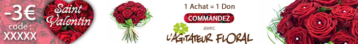 banniere_af_729_90_saint-valentin.jpeg